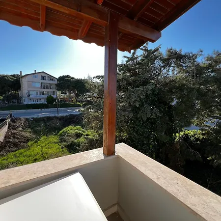 Ada Urla
