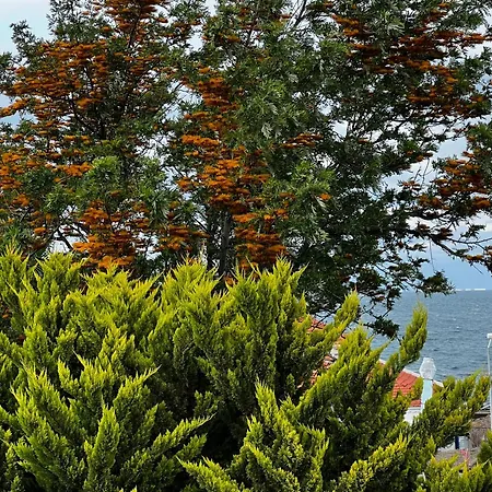 Ada Urla